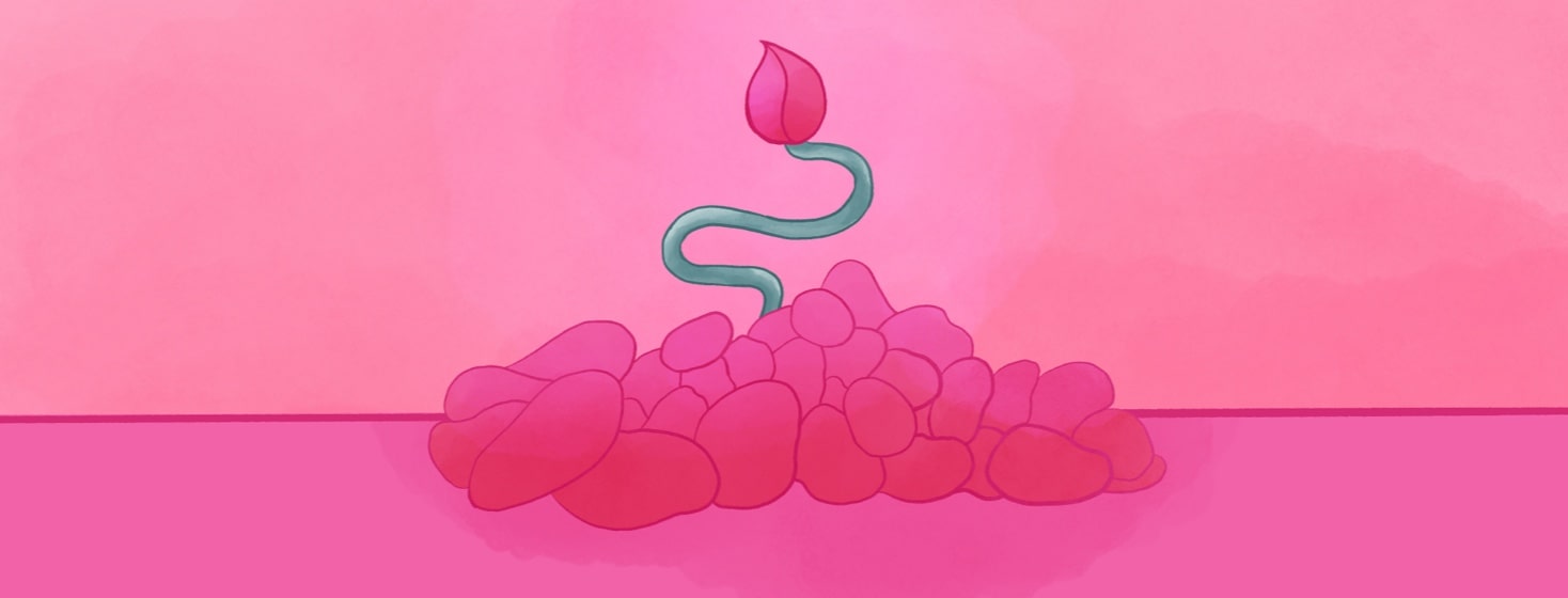 flower growing out of a pile of fallen petals