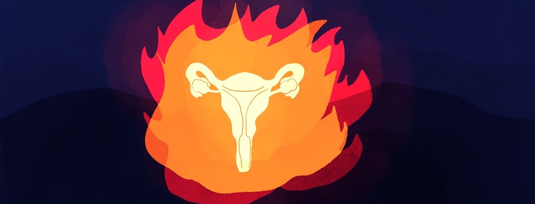 a female reproductive system surrounded by flames